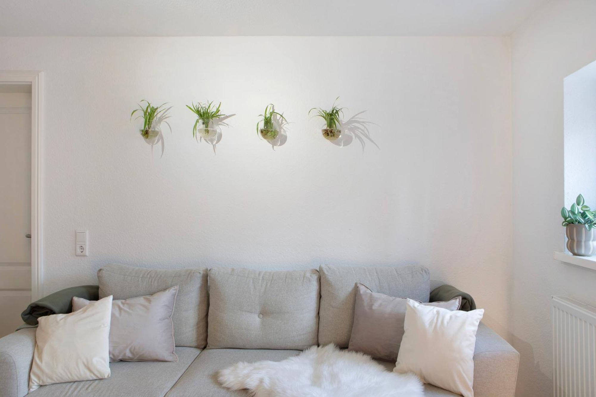 Alsfelder Wein-suite Appartement *